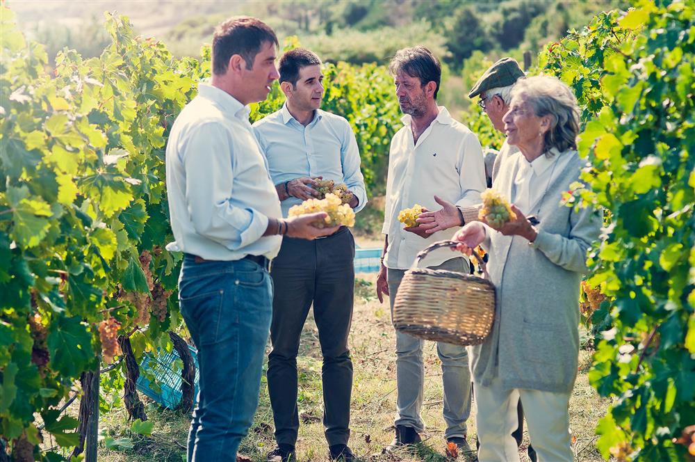 Tenuta-L'Ariosa-vigna-Cantina-Fratelli-Rau